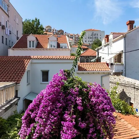 Van Gogh Dubrovnik